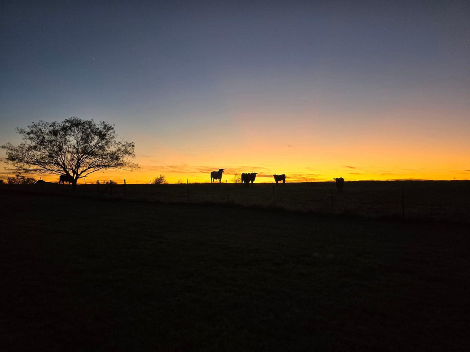 Farmhouse Series