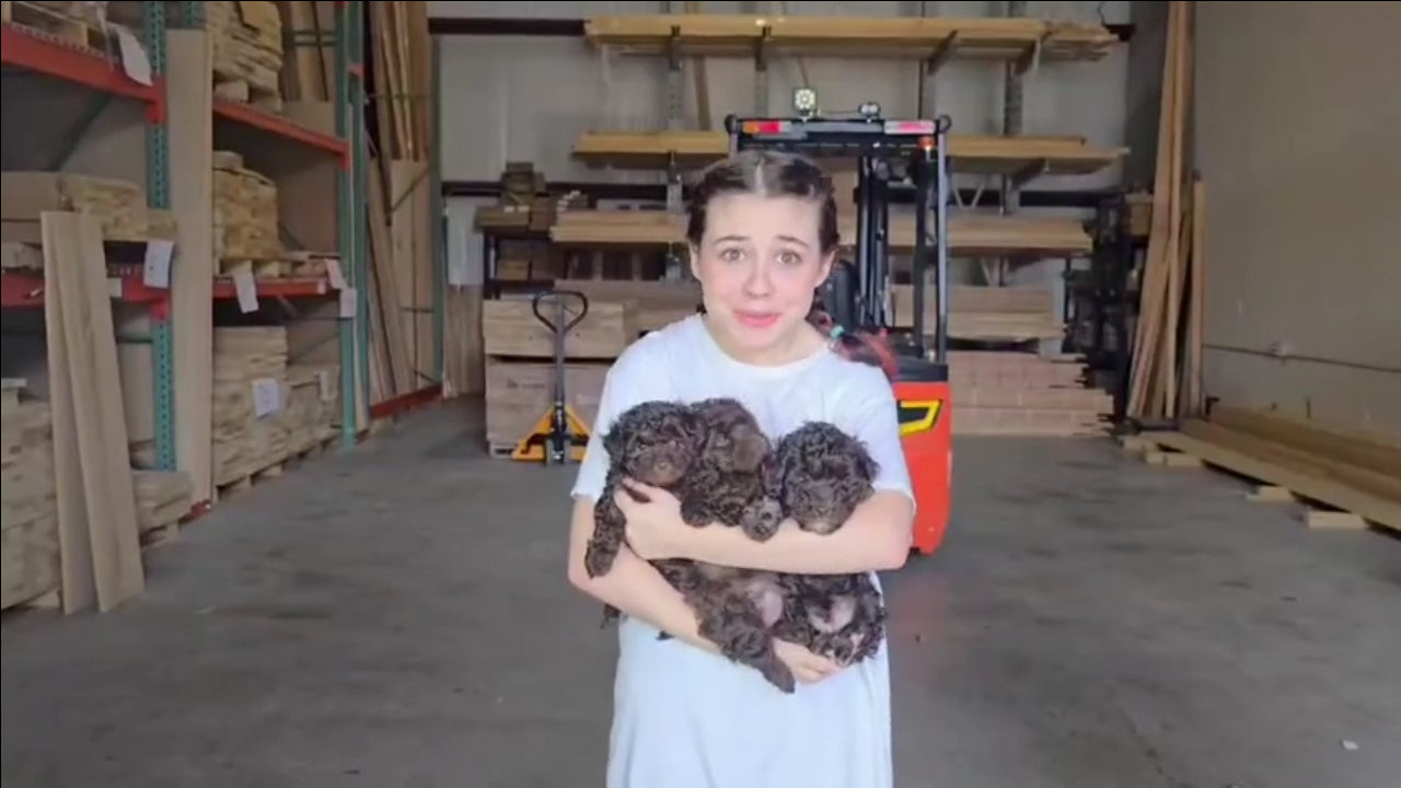 Load video: 